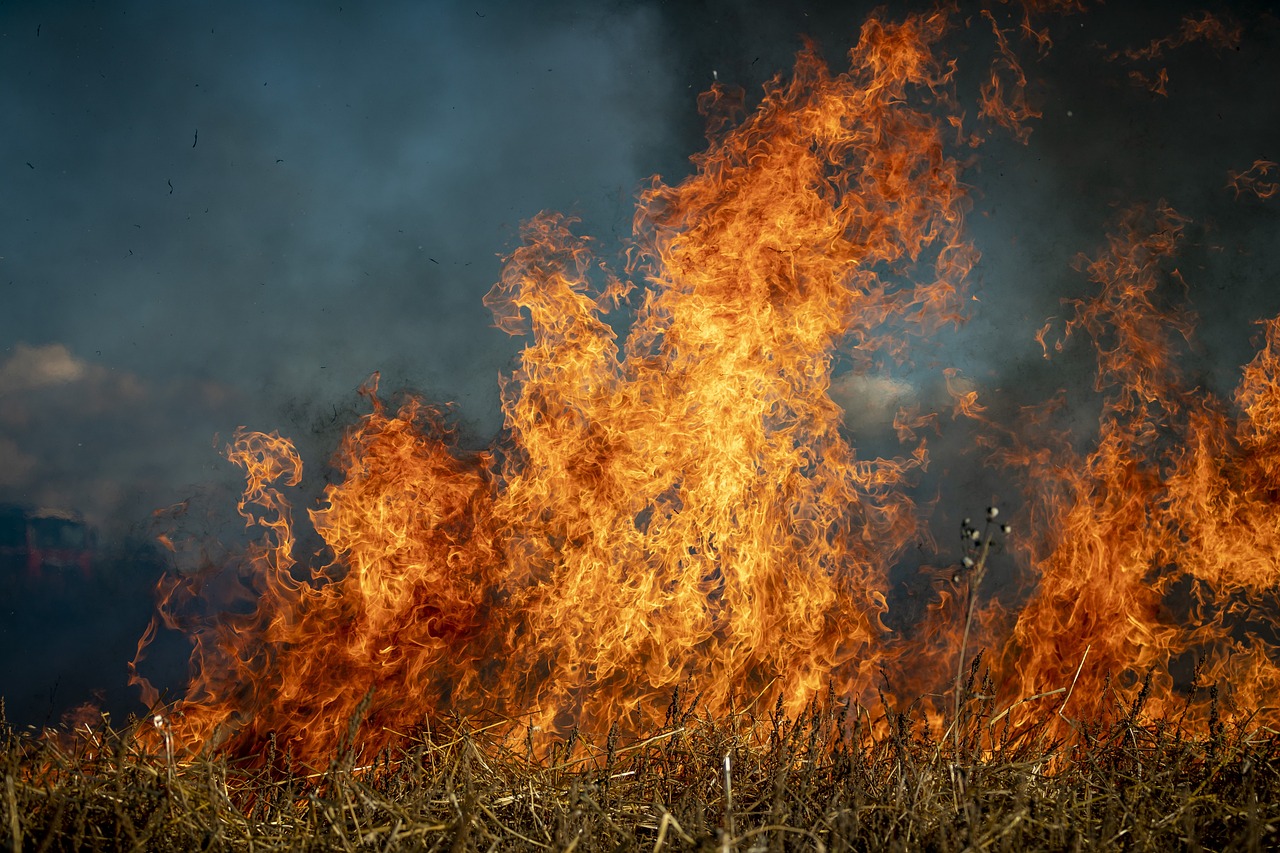 Atienden M S De Mil Elementos Incendios Forestales En M Xico